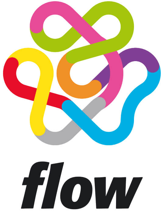 Flow Consulting Kft. logó